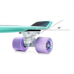 Arch Design Four-wheeled Skateboard Plastic Long Board Freestyle Teenager