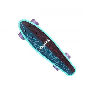 Arch Design Four-wheeled Skateboard Plastic Long Board Freestyle Teenager